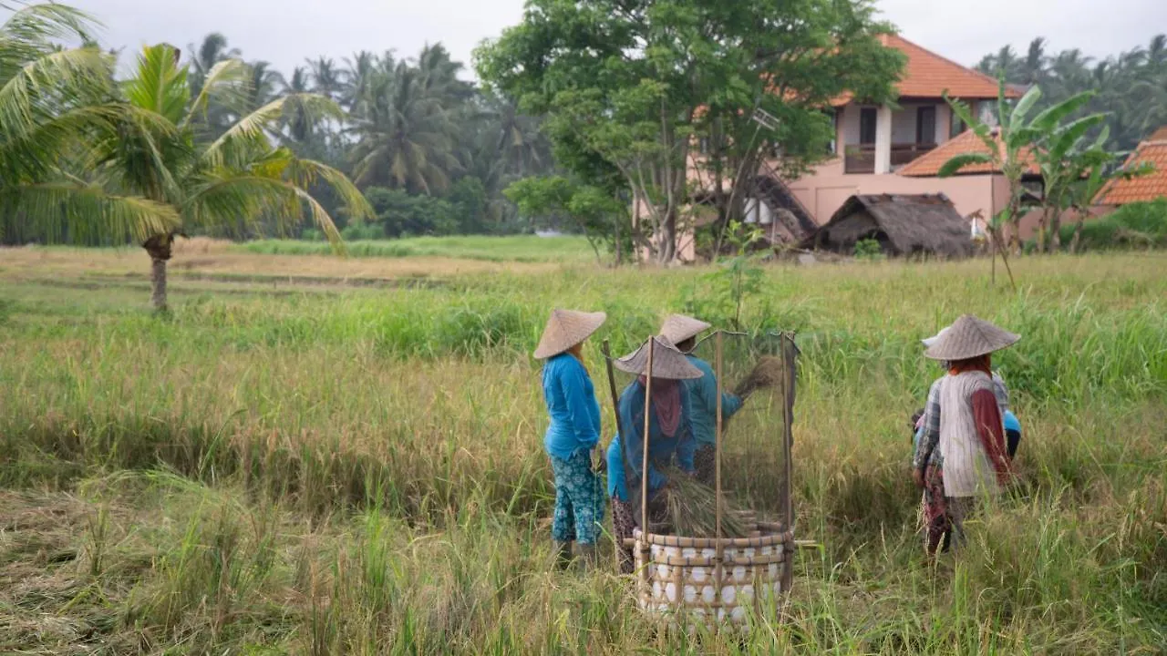A Home, Like A Dream Ubud  Indonesia