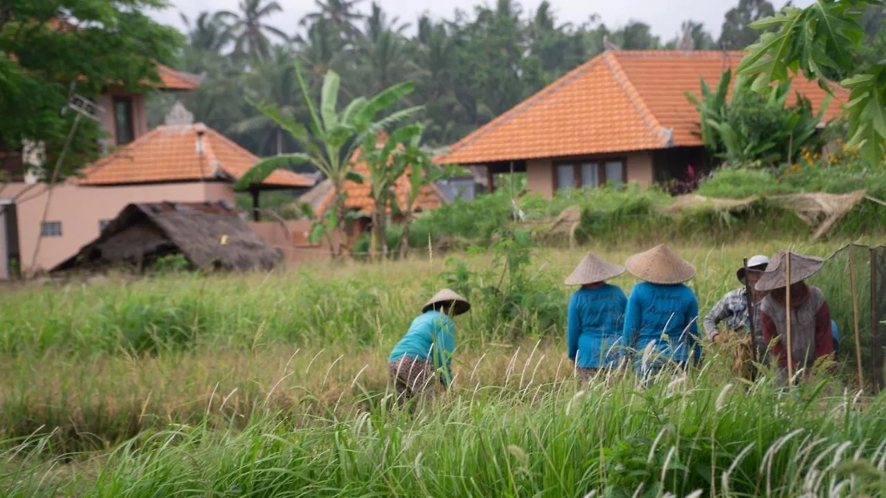 A Home, Like A Dream Ubud  0*, Ubud (Bali) Indonesia
