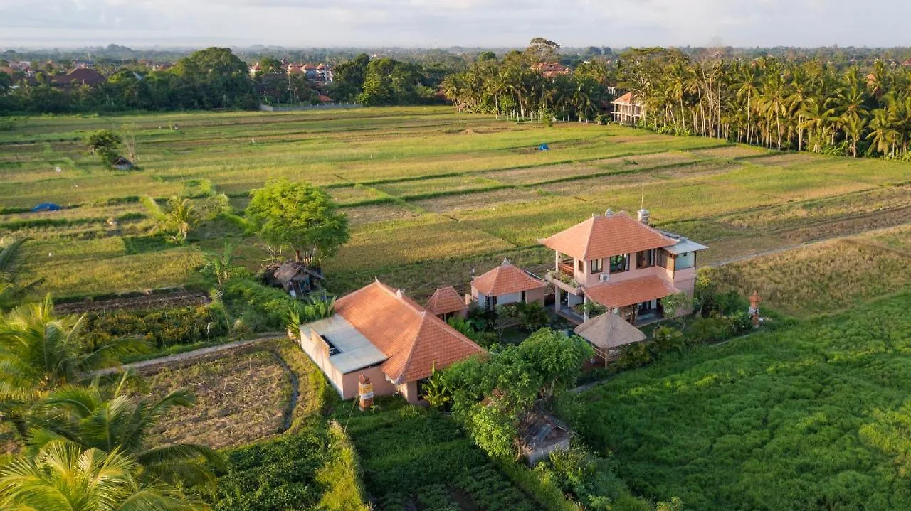A Home, Like A Dream Ubud  Ubud (Bali)
