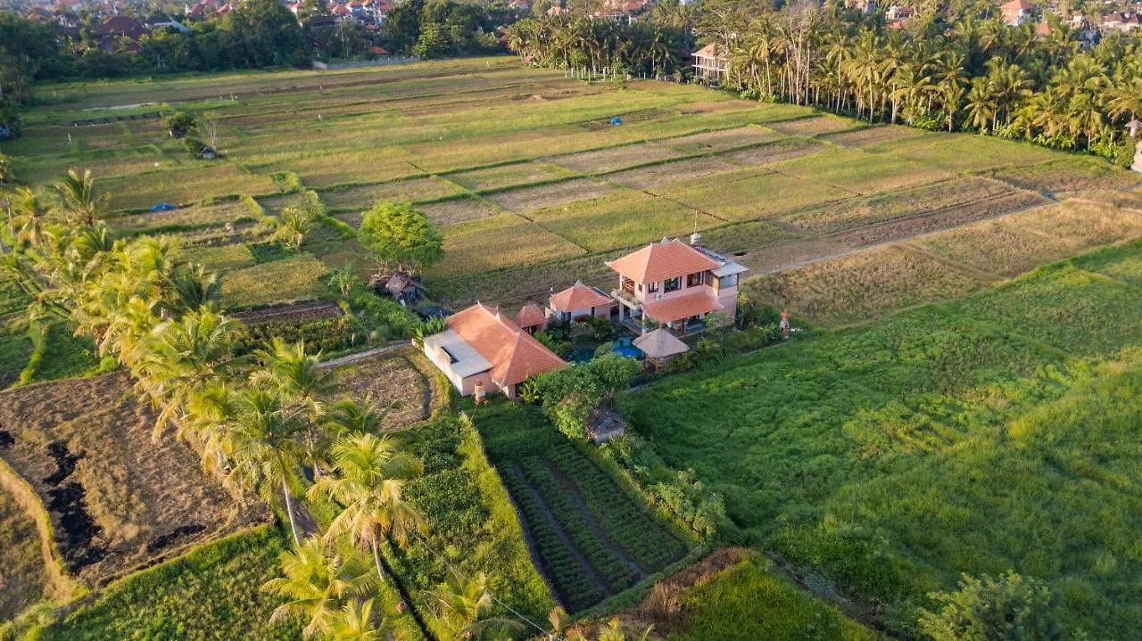 A Home, Like A Dream Ubud